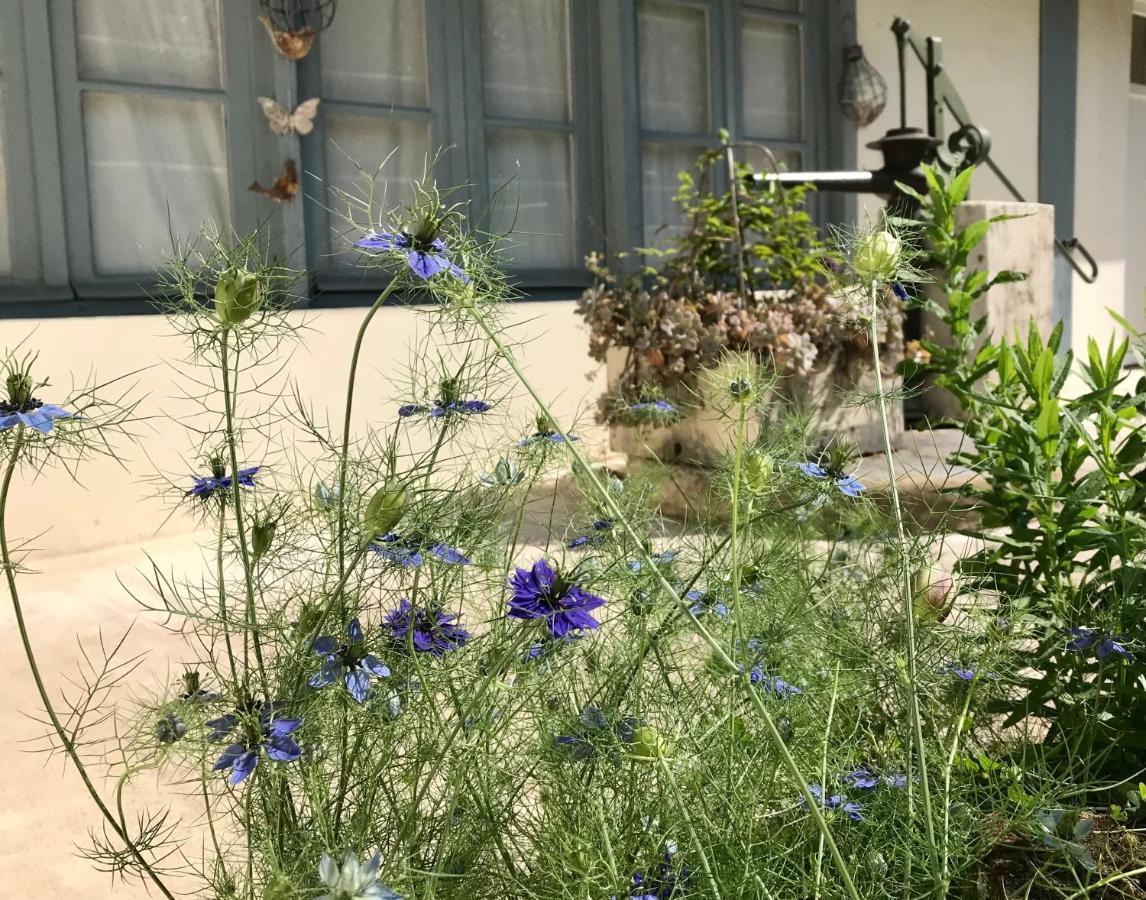 Le Gite De L'Atelier Bergerac Exterior foto